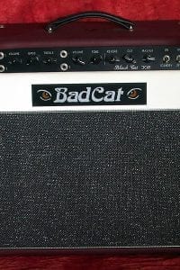 2001 Bad Cat Black Cat 30