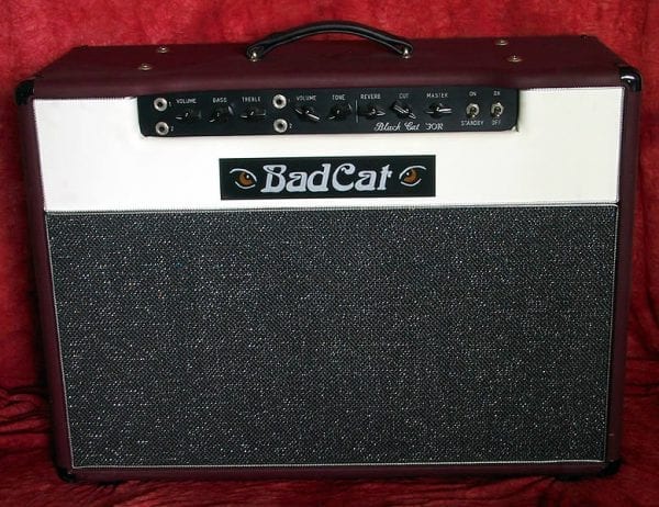 2001 Bad Cat Black Cat 30
