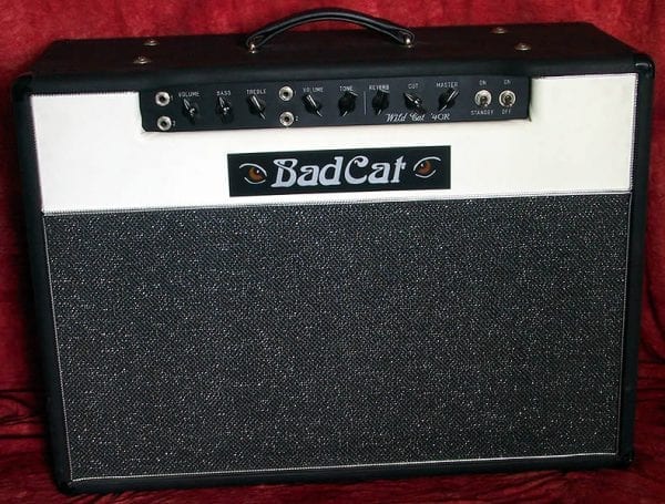 2001 Bad Cat Wild Cat 40 Amp