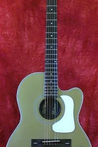 1989 Gibson Chet Atkins 12-String