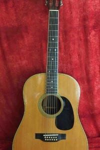 1966 Martin D-12-35