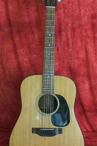 1973 Martin D-12-18