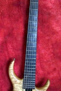 1989 Tobias Basic 6-String