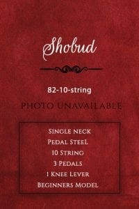 Shobud Guitar-82-10-string